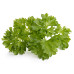 Curley Parsley - Click and Grow Plant Pods